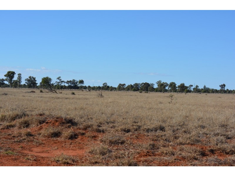 Wongalee Honeymah Lane, St George QLD 4487