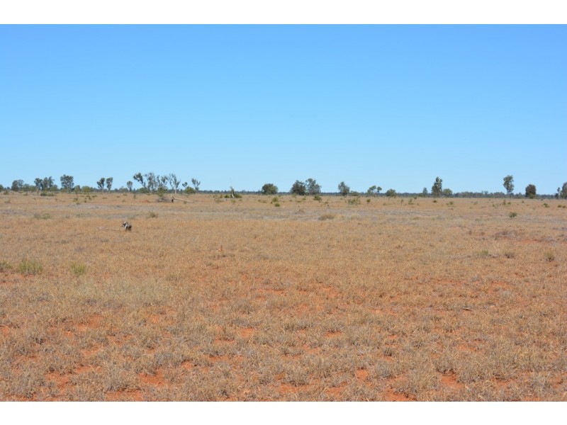 Wongalee Honeymah Lane, St George QLD 4487