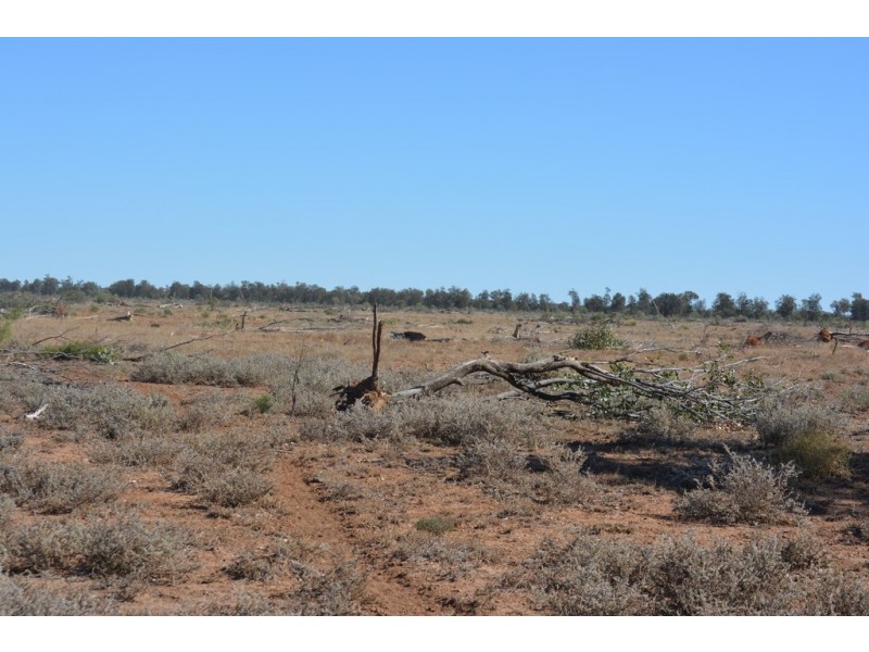 Wongalee Honeymah Lane, St George QLD 4487