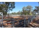 Wongalee Honeymah Lane, St George QLD 4487