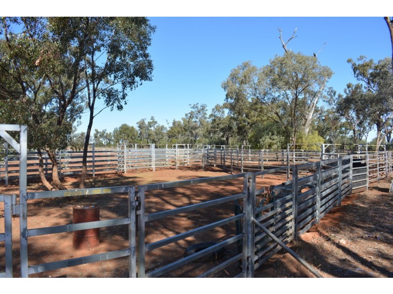 Wongalee Honeymah Lane, St George QLD 4487