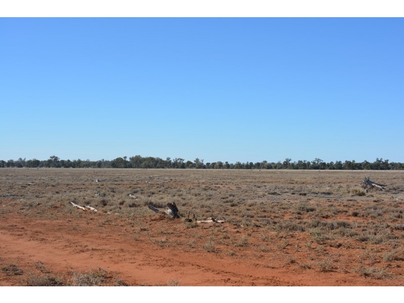 Wongalee Honeymah Lane, St George QLD 4487