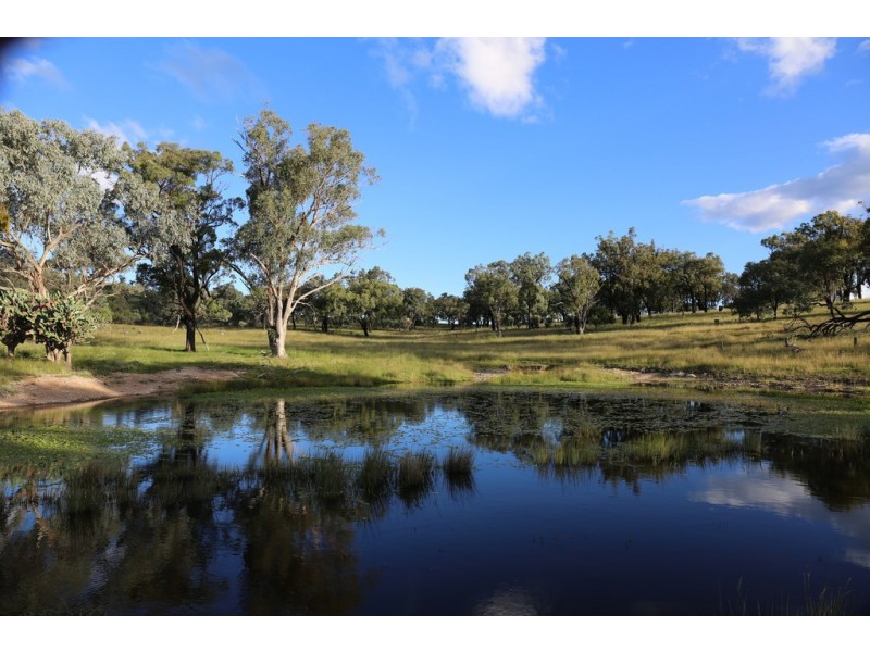 ” Pikedale “, Stanthorpe QLD 4380