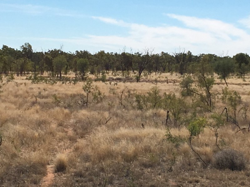 ” MUNDAROO”, Blackall QLD 4472