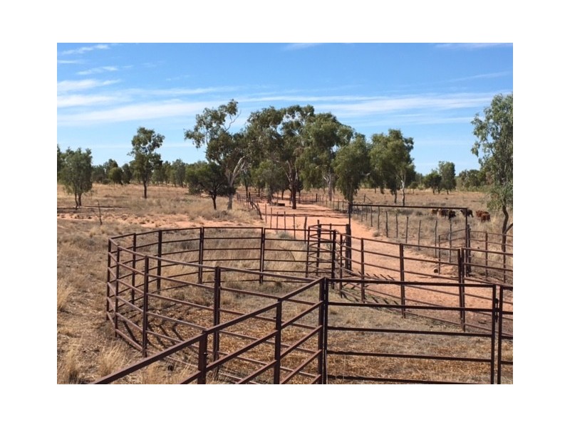 ” MUNDAROO”, Blackall QLD 4472