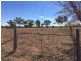 ” MUNDAROO”, Blackall QLD 4472