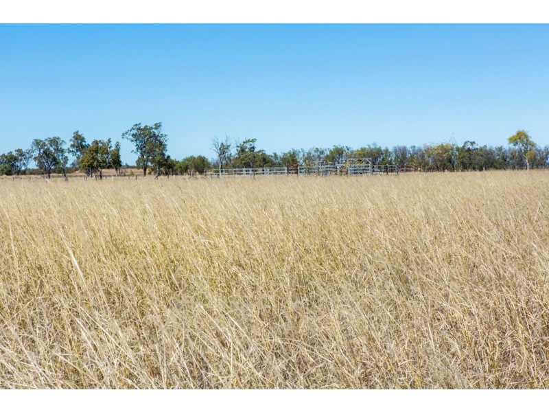 32 Thrupps Access Road, Dalby QLD 4405