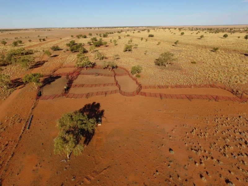 ” Coniston “, Quilpie QLD 4480