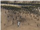 ” Coniston “, Quilpie QLD 4480