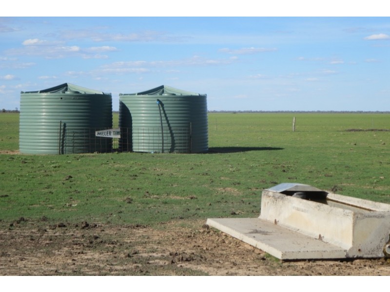 ” Coniston “, Quilpie QLD 4480