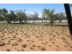 ” Coniston “, Quilpie QLD 4480