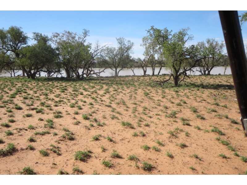 ” Coniston “, Quilpie QLD 4480
