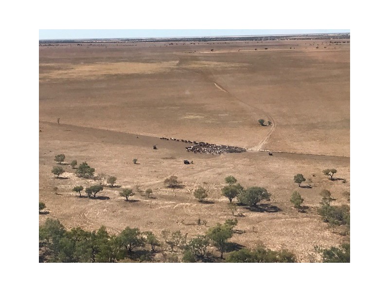 ” Coniston “, Quilpie QLD 4480