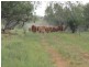 ” Coniston “, Quilpie QLD 4480