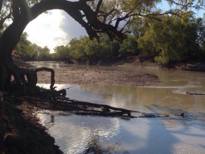 ” Coniston “, Quilpie QLD 4480