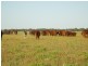 ” Coniston “, Quilpie QLD 4480