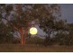 ” Coniston “, Quilpie QLD 4480