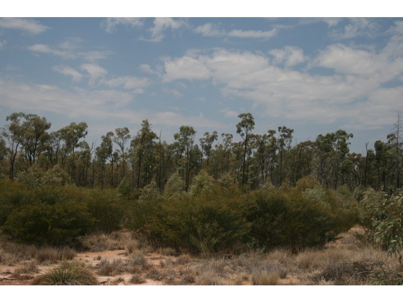 353 Retreat Road, Miles QLD 4415