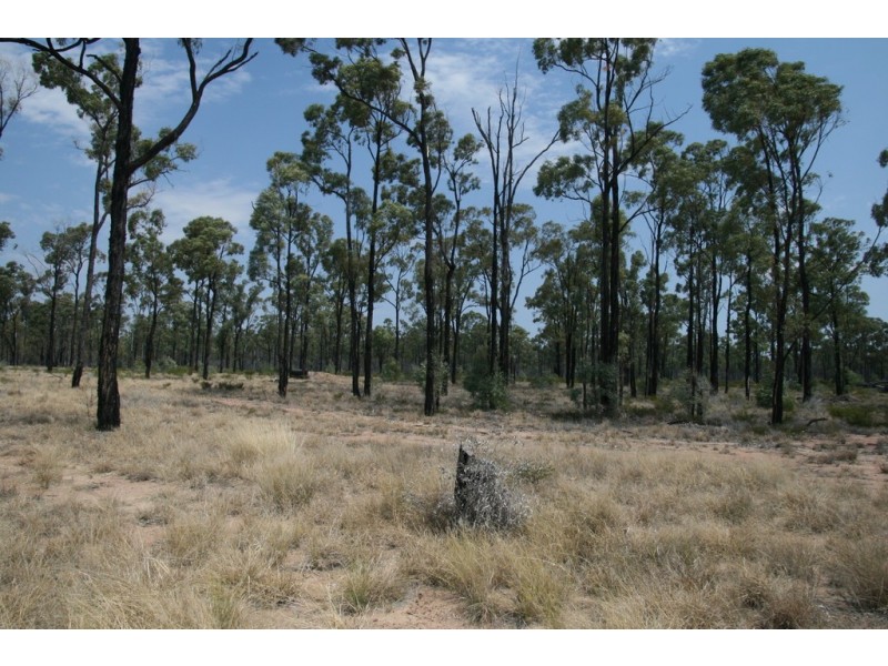 353 Retreat Road, Miles QLD 4415