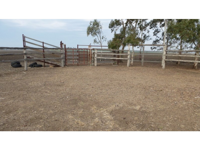 486 MT PLEASANT RD, Dalby QLD 4405