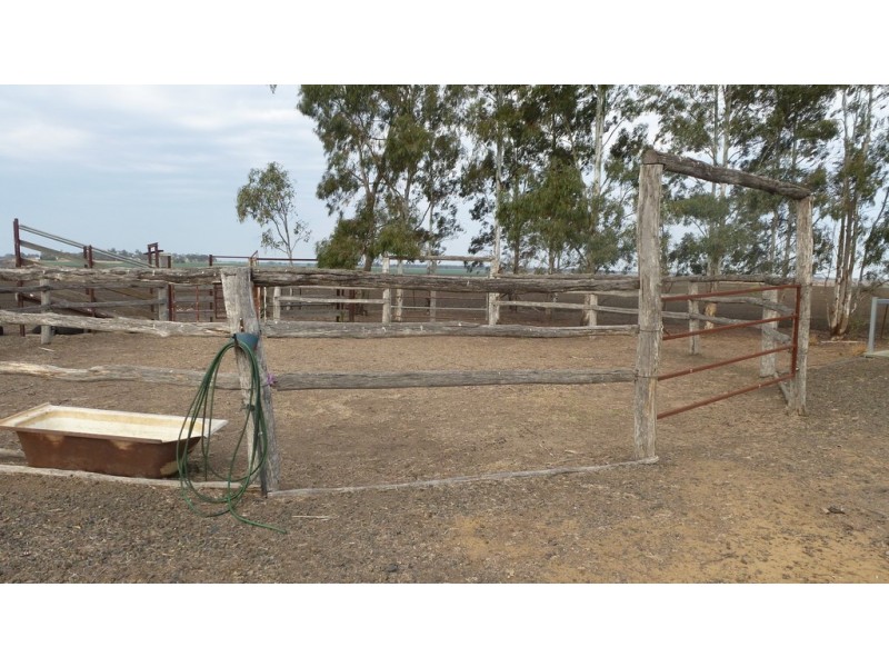 486 MT PLEASANT RD, Dalby QLD 4405