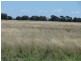 ” Claydon”, Tara QLD 4421