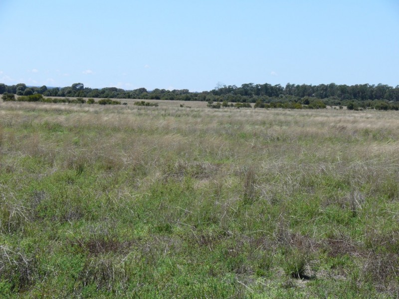 ” Claydon”, Tara QLD 4421