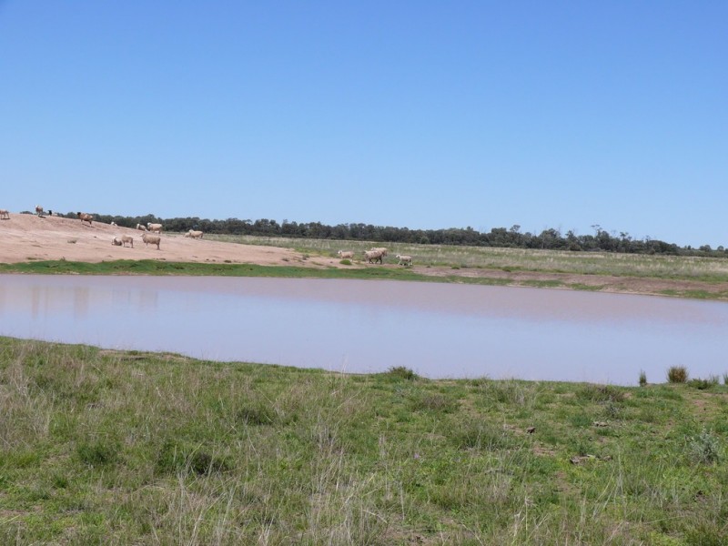 ” Claydon”, Tara QLD 4421