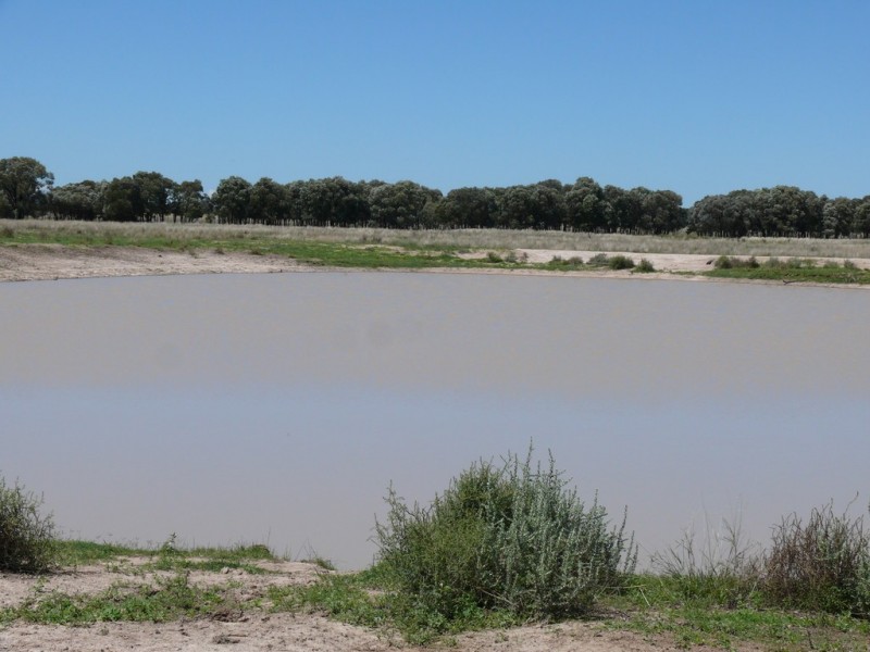 ” Claydon”, Tara QLD 4421