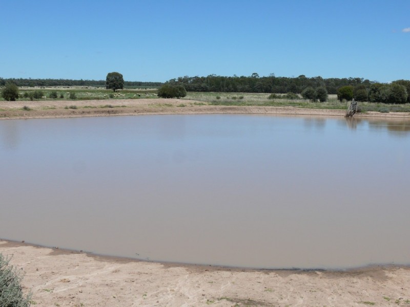 ” Claydon”, Tara QLD 4421