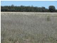 ” Claydon”, Tara QLD 4421