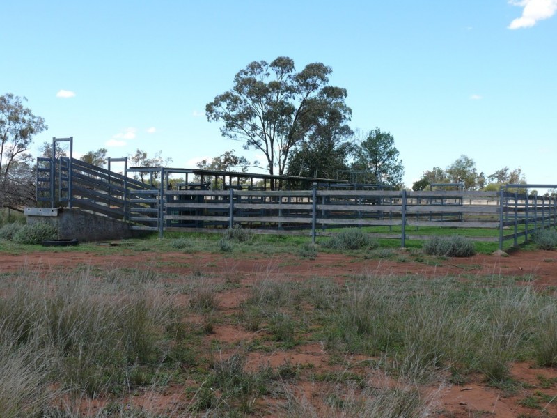 ” Claydon”, Tara QLD 4421
