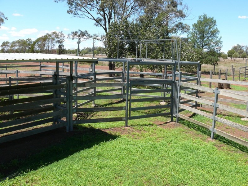 ” Claydon”, Tara QLD 4421
