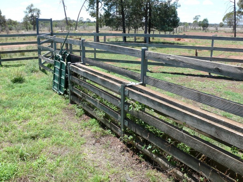 ” Claydon”, Tara QLD 4421