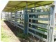 ” Claydon”, Tara QLD 4421