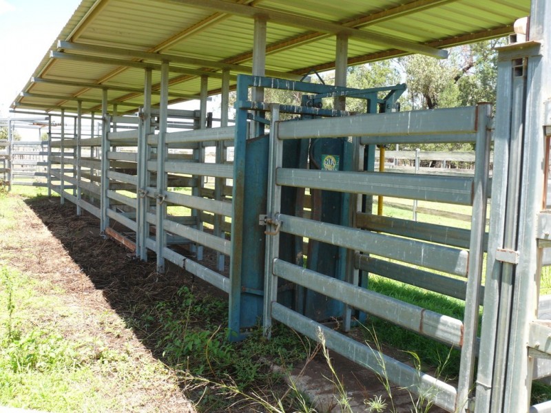 ” Claydon”, Tara QLD 4421