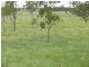 Roma QLD 4455