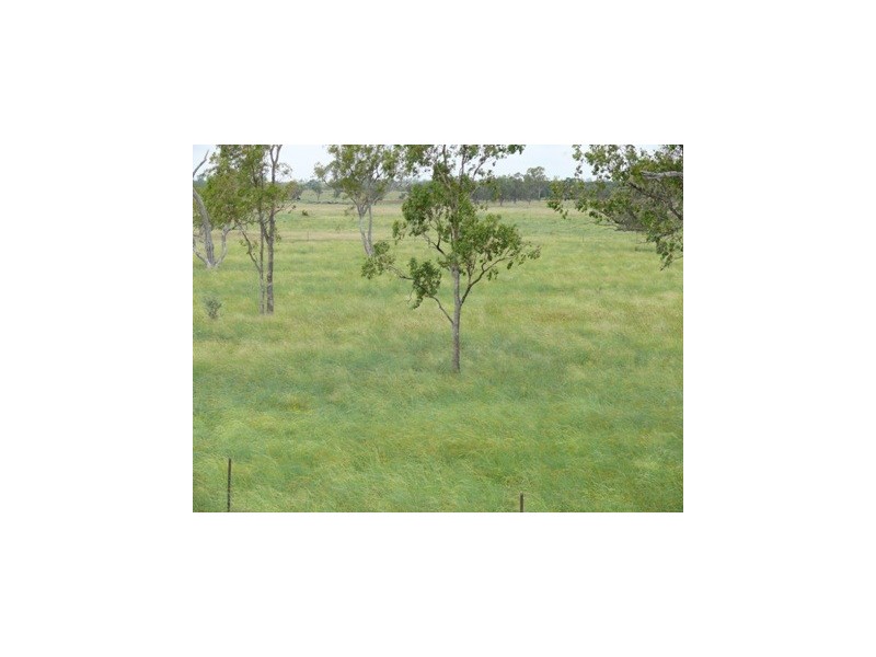 Roma QLD 4455