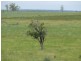 Roma QLD 4455