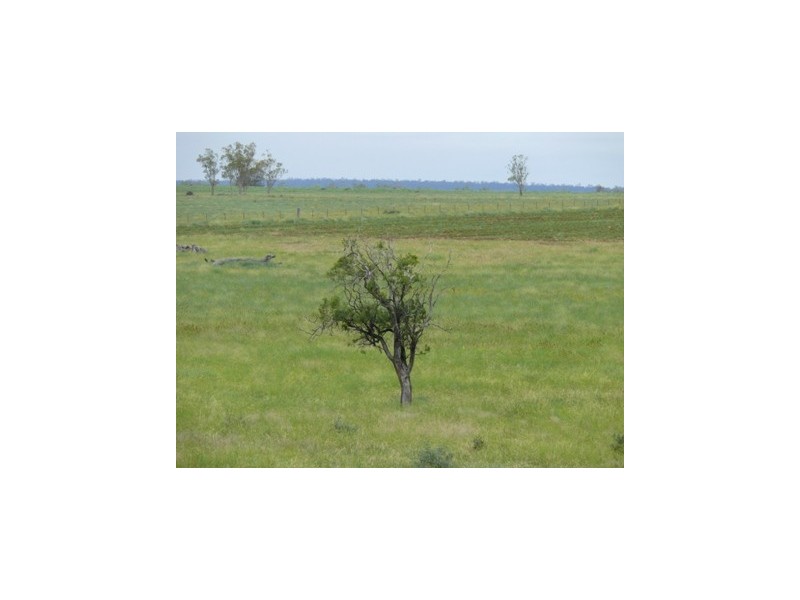 Roma QLD 4455