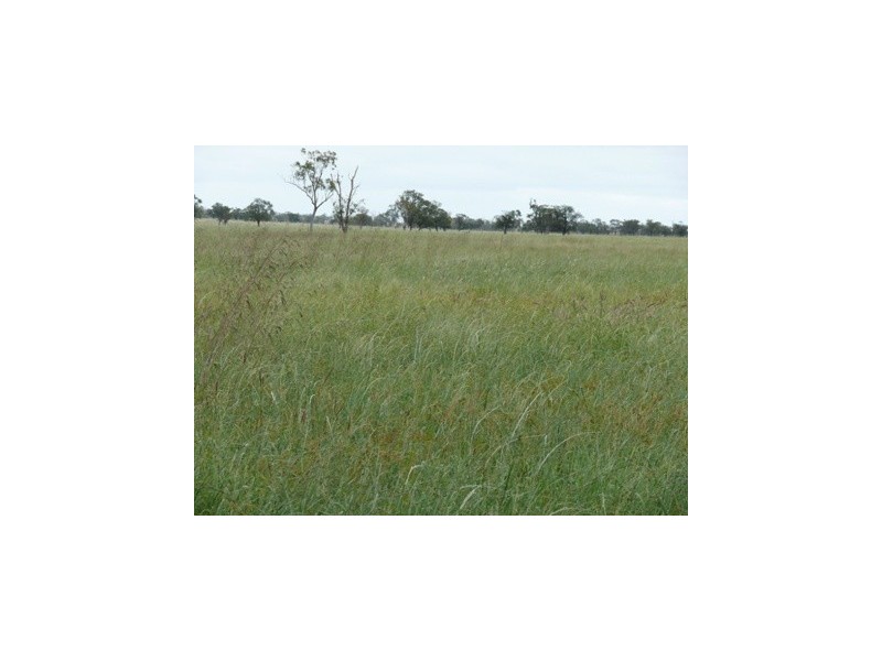 Roma QLD 4455