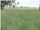 Roma QLD 4455