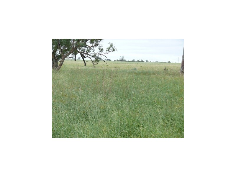 Roma QLD 4455