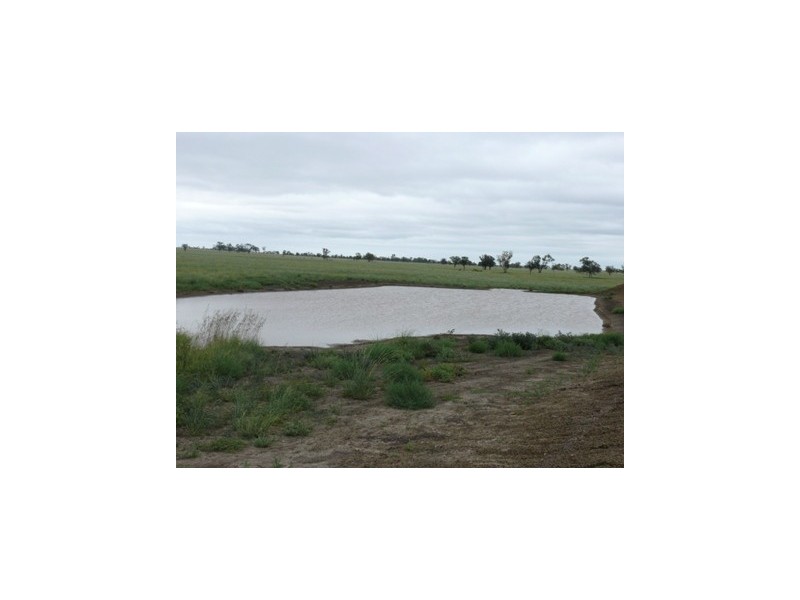 Roma QLD 4455