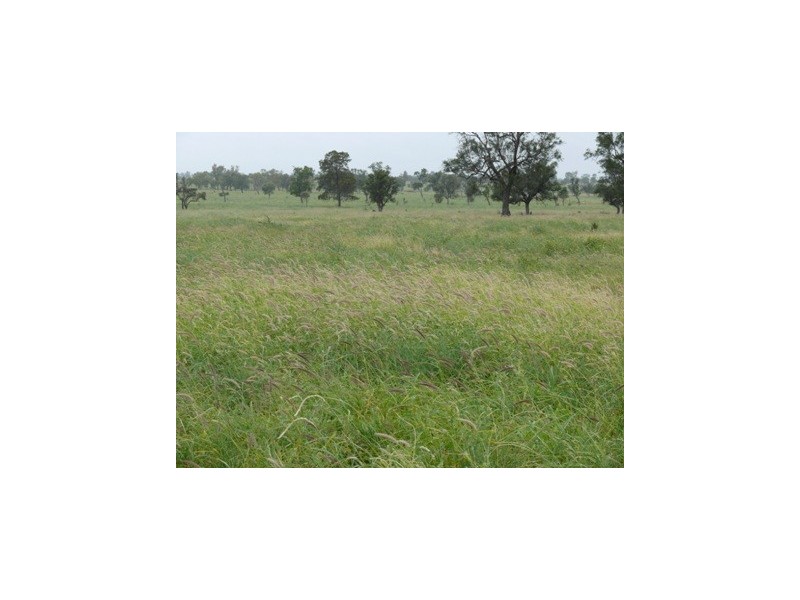 Roma QLD 4455