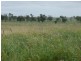 Roma QLD 4455