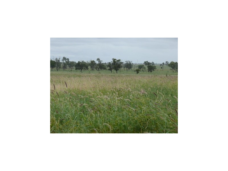 Roma QLD 4455
