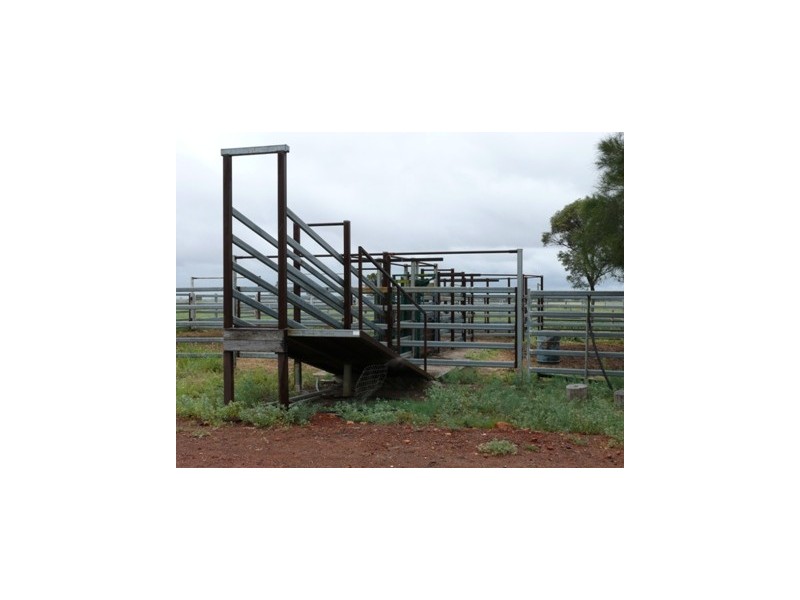Roma QLD 4455