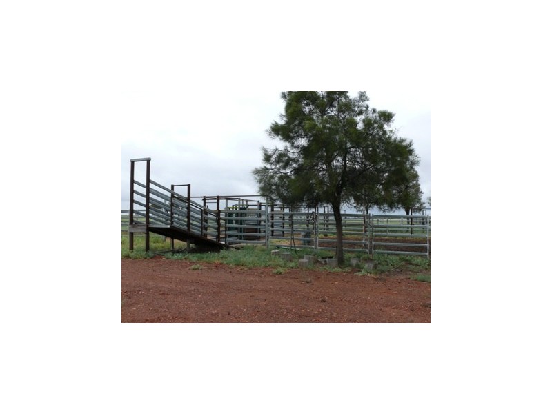 Roma QLD 4455
