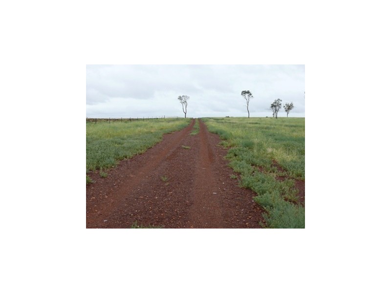 Roma QLD 4455